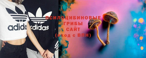 мяу мяу мука Аркадак