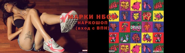 мяу мяу мука Аркадак