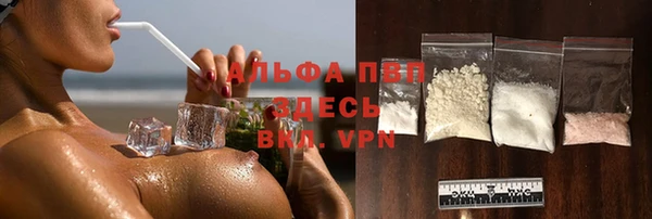 спиды Алзамай