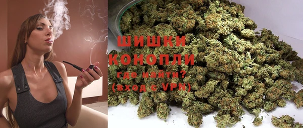 мяу мяу мука Аркадак