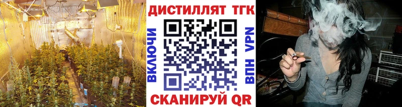 хочу darknet состав ТГК гашишное масло Пласт