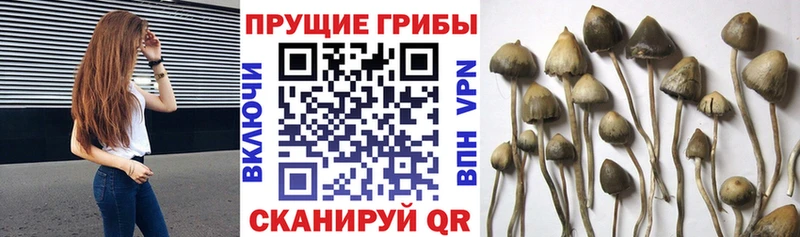 Псилоцибиновые грибы мухоморы  Пласт 