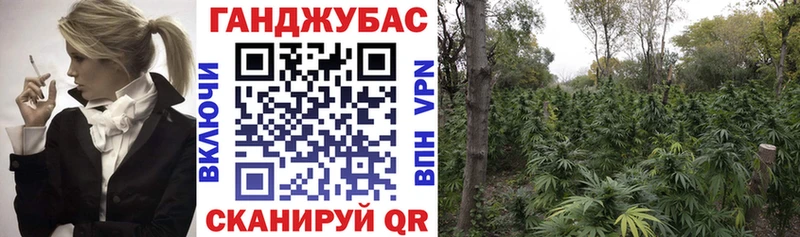 Каннабис MAZAR  Пласт 